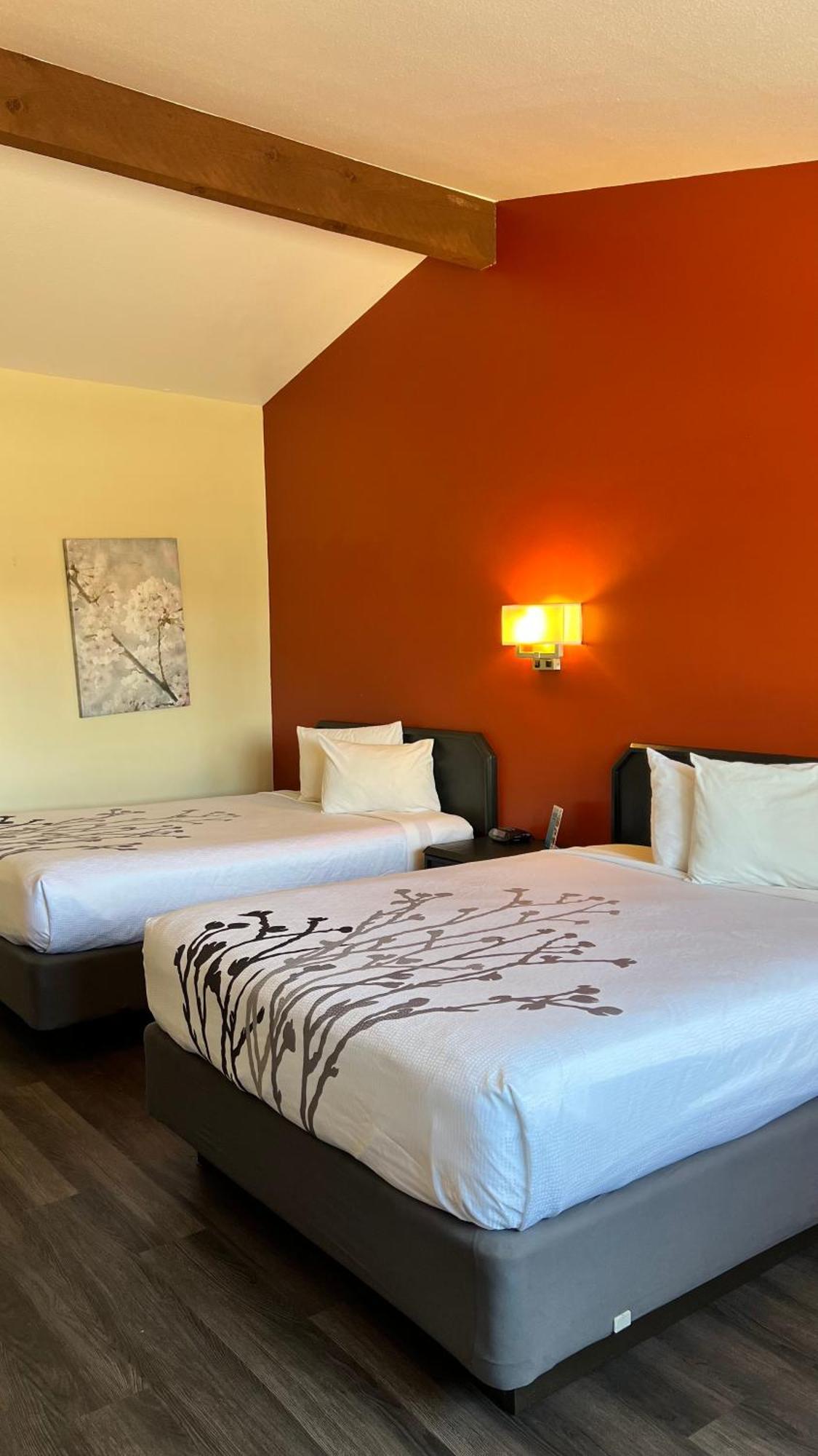 Black Canyon Motel Montrose Eksteriør bilde